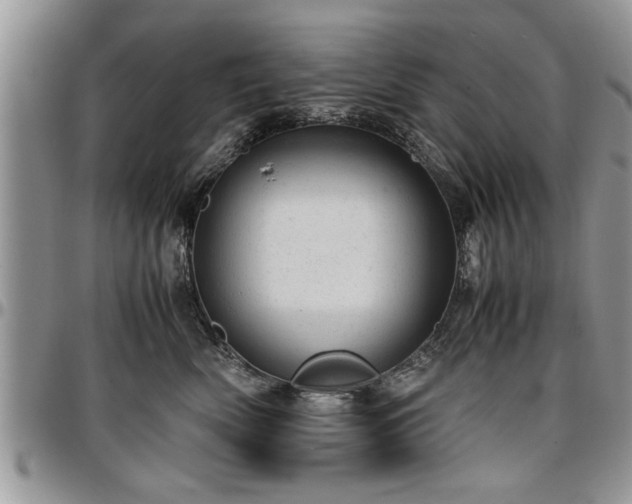 X0000096940522200802151218
