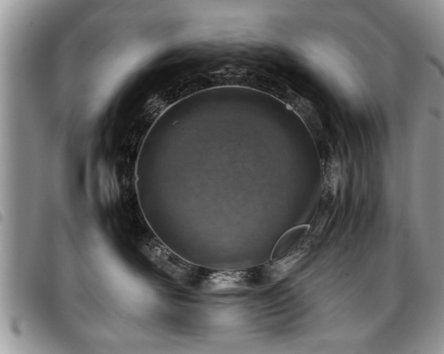 X0000096940526200802151218