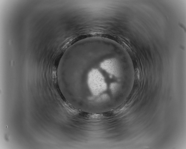 X0000096940527200802151218