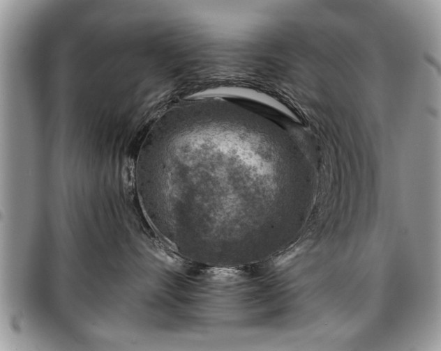 X0000096940528200802151218