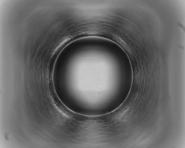 X0000096940530200802151217