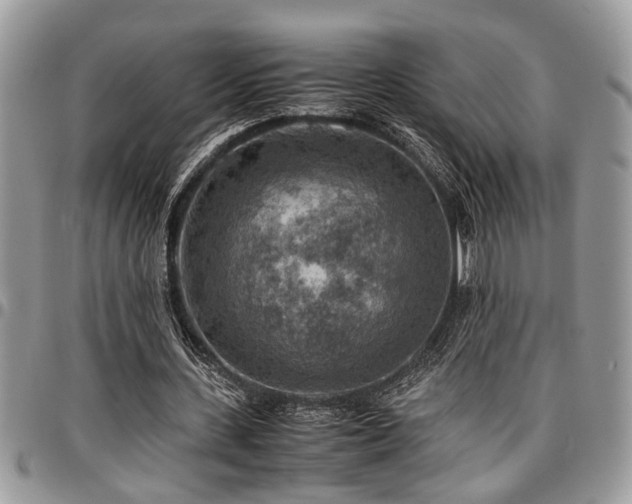 X0000096940531200802151217