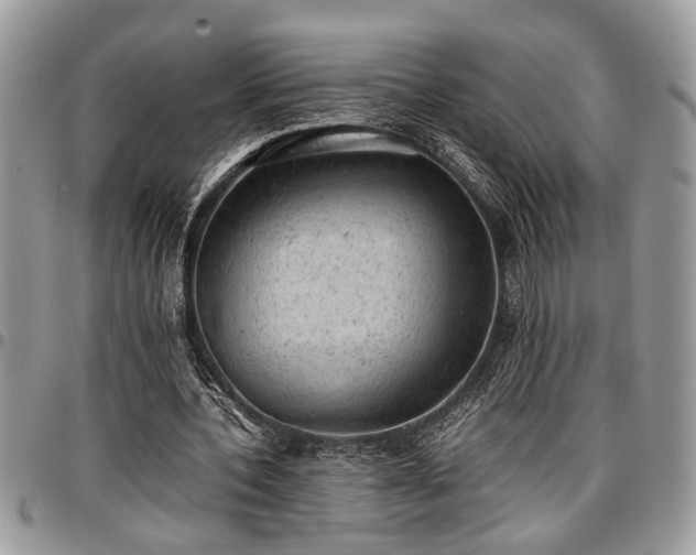 X0000096940532200802151217