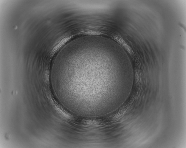 X0000096940533200802151217
