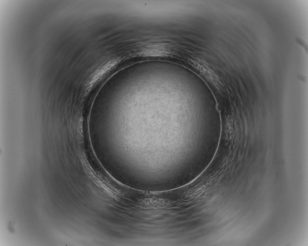 X0000096940535200802151217