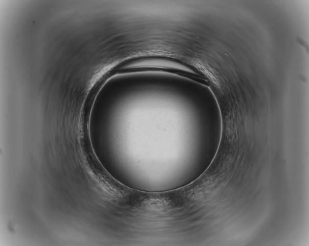 X0000096940536200802151217