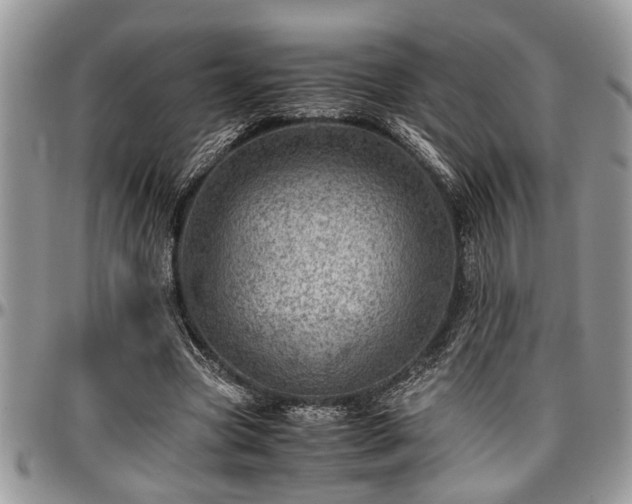 X0000096940537200802151217