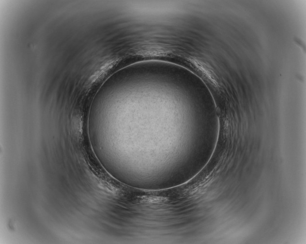 X0000096940539200802151217