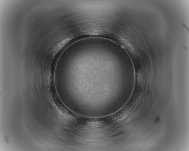 X0000096940540200802151217