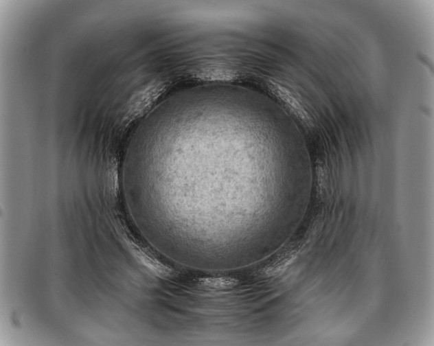 X0000096940541200802151217