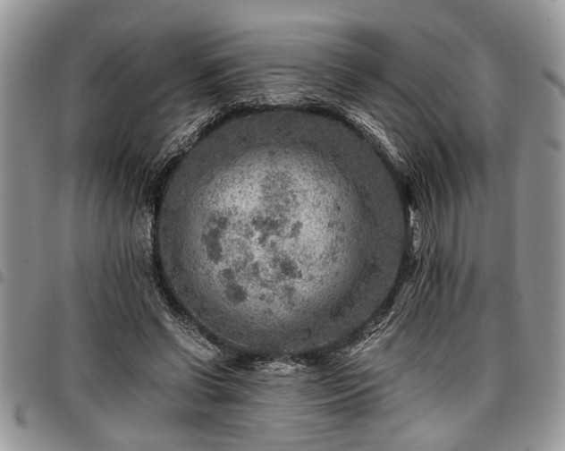 X0000096940542200802151217