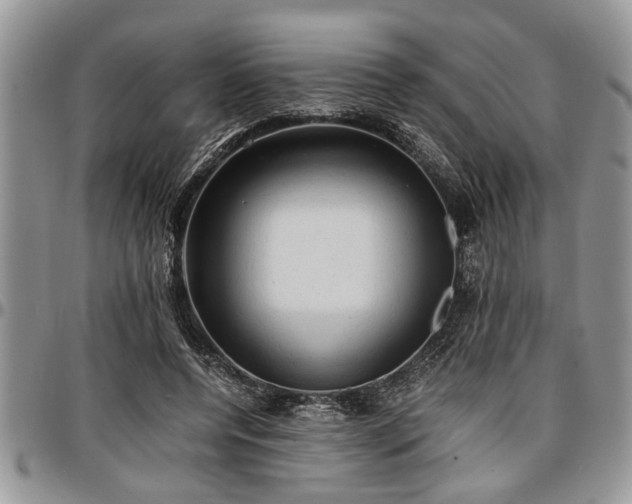 X0000096940544200802151217