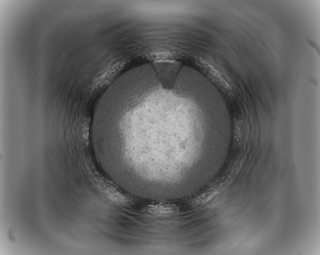 X0000096940545200802151217