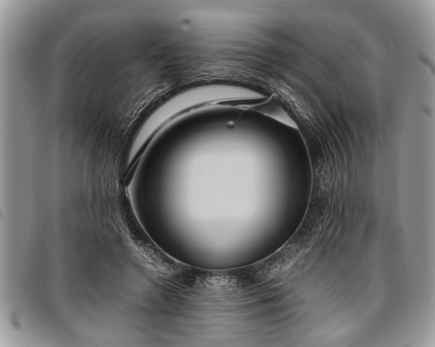 X0000096940546200802151217
