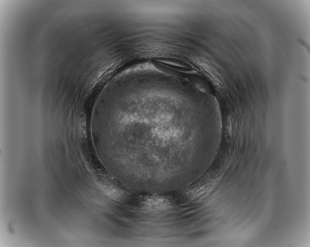 X0000096940547200802151217