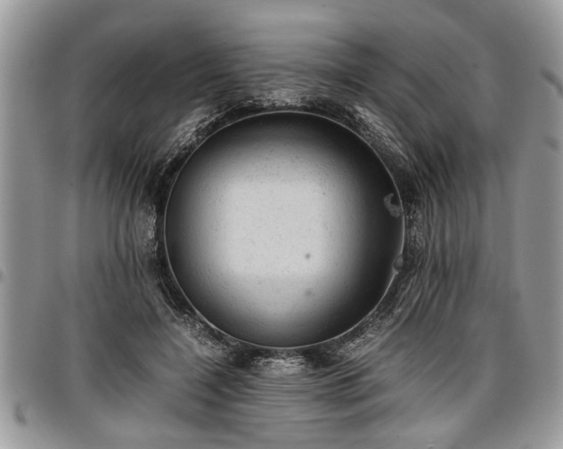 X0000096940548200802151217