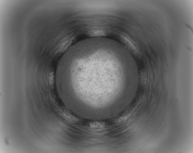 X0000096940549200802151217