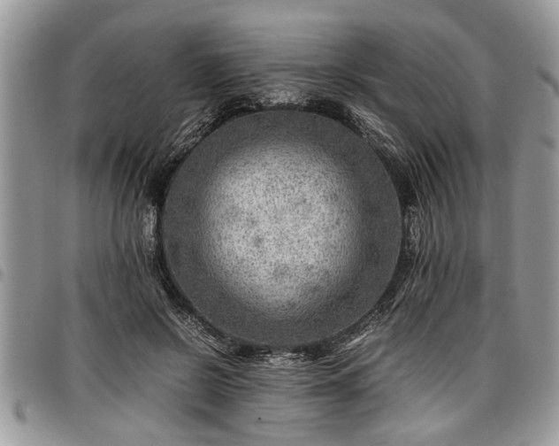 X0000096940550200802151217