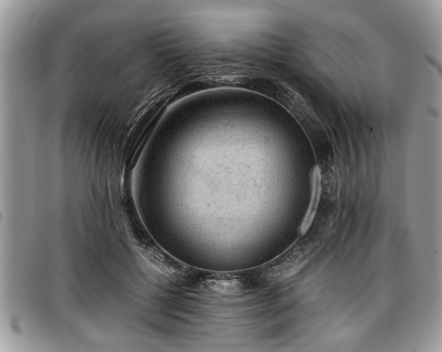 X0000096940552200802151217