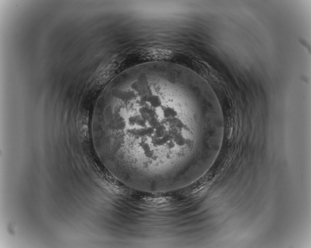 X0000096940553200802151217
