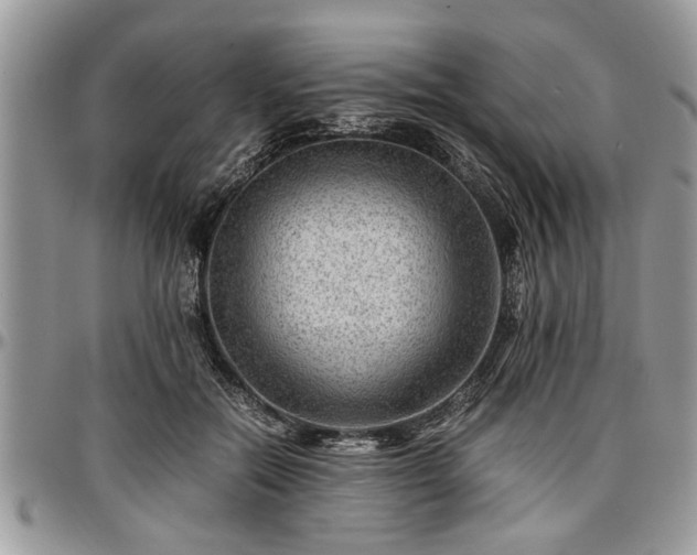 X0000096940554200802151217