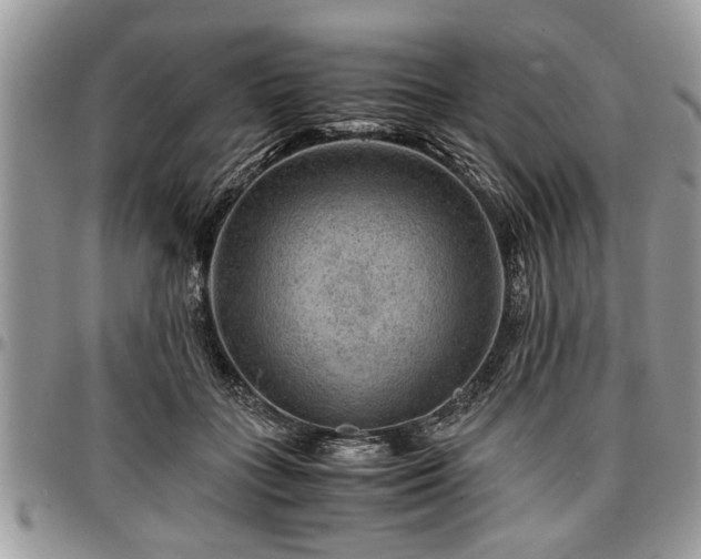 X0000096940555200802151217
