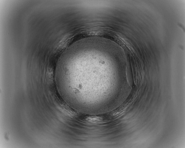 X0000096940557200802151217