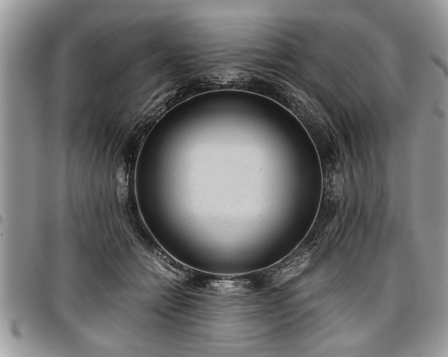 X0000096940558200802151217