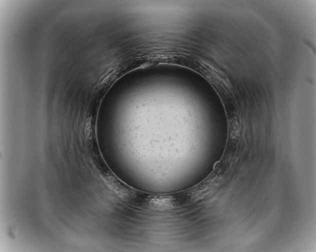 X0000096940560200802151217