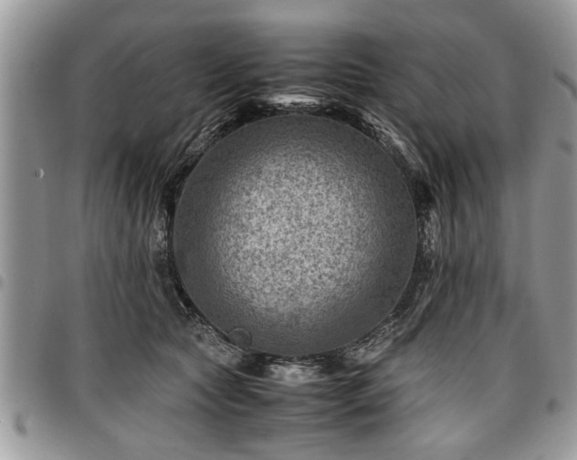 X0000096940561200802151217