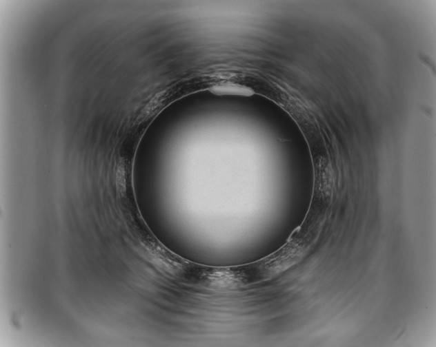 X0000096940562200802151217
