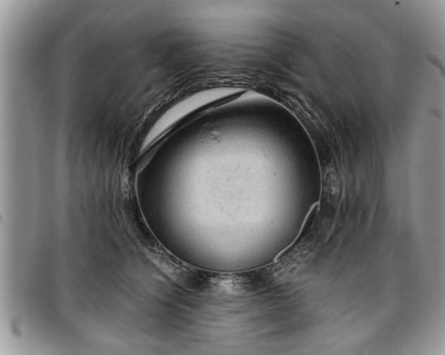 X0000096940564200802151217