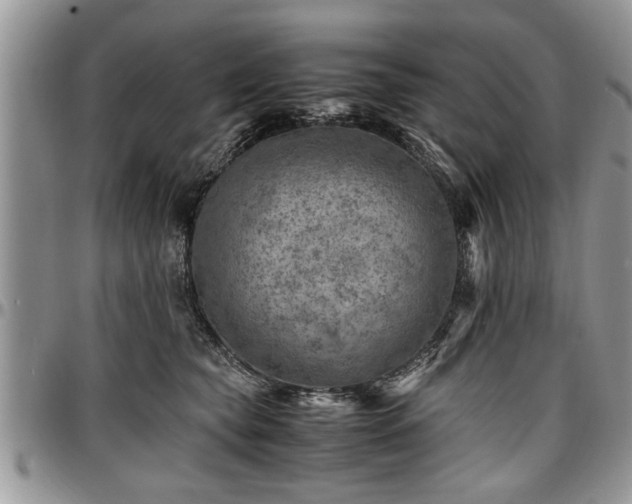 X0000096940565200802151217