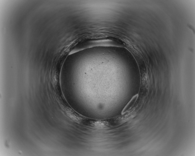 X0000096940566200802151217