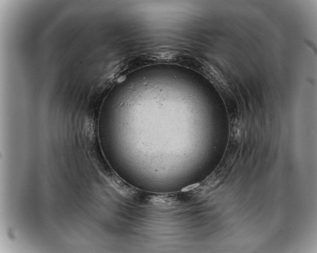 X0000096940568200802151217