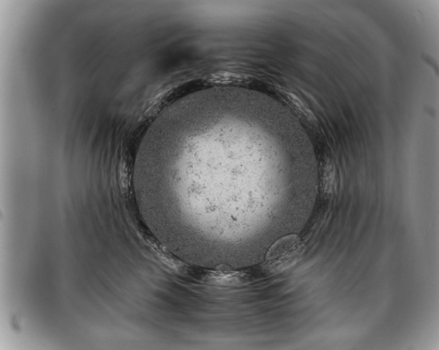 X0000096940569200802151217