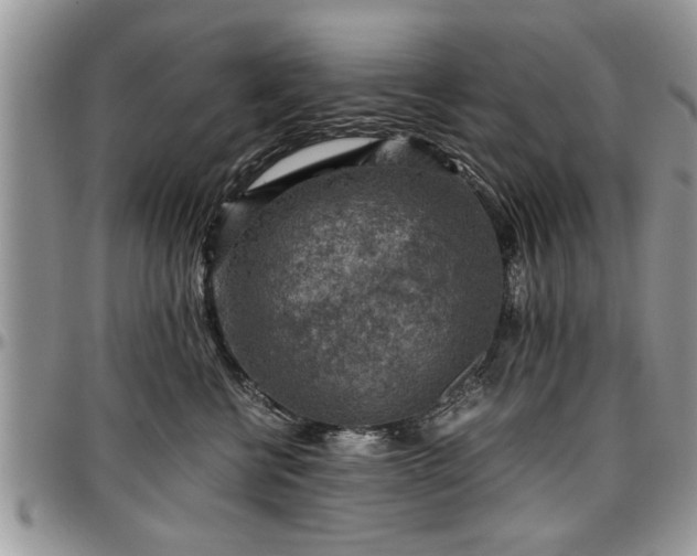 X0000096940570200802151217