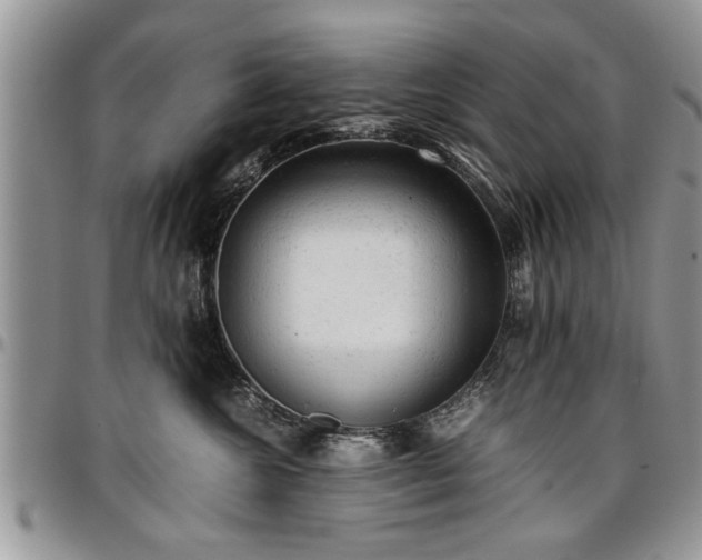 X0000096940572200802151217
