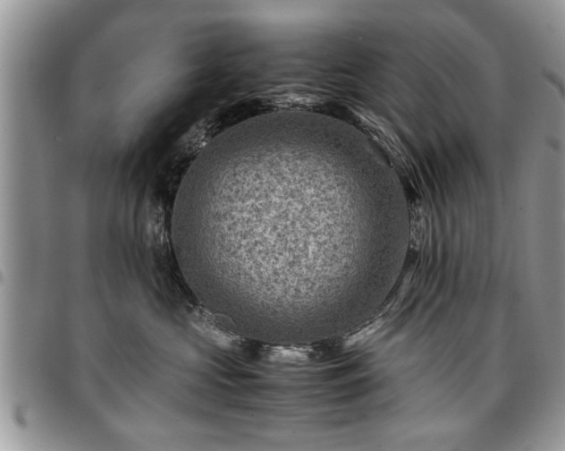 X0000096940573200802151217