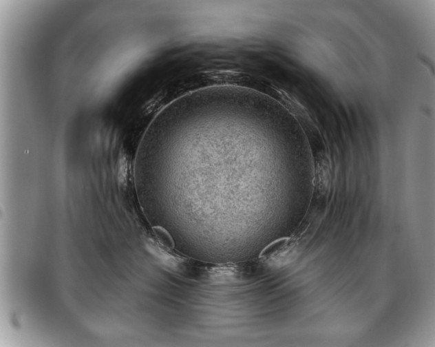 X0000096940574200802151217