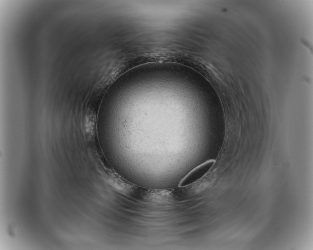 X0000096940576200802151217