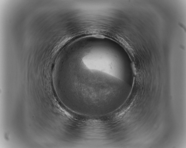 X0000096940577200802151217