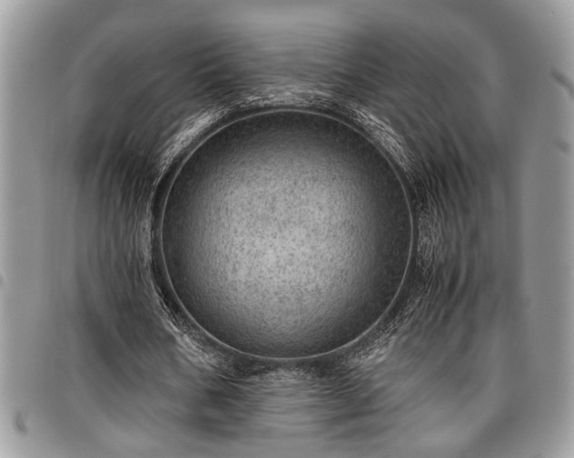 X0000096940578200802151217