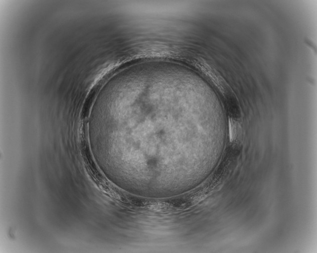 X0000096940579200802151217