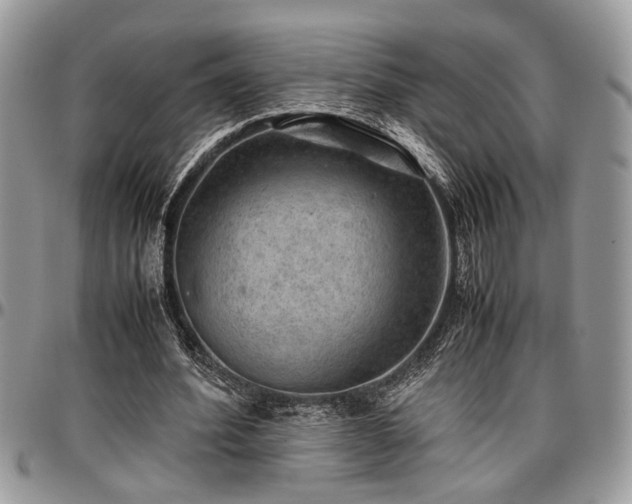 X0000096940580200802151217