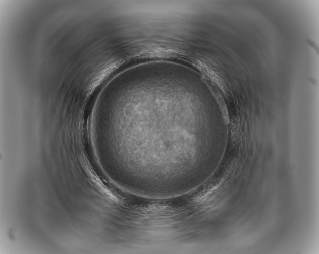 X0000096940581200802151217
