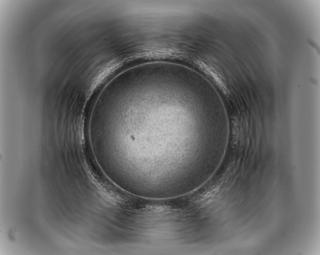 X0000096940582200802151217