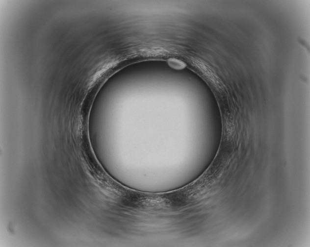 X0000096940583200802151217