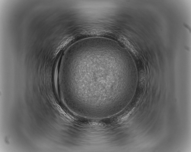 X0000096940585200802151217