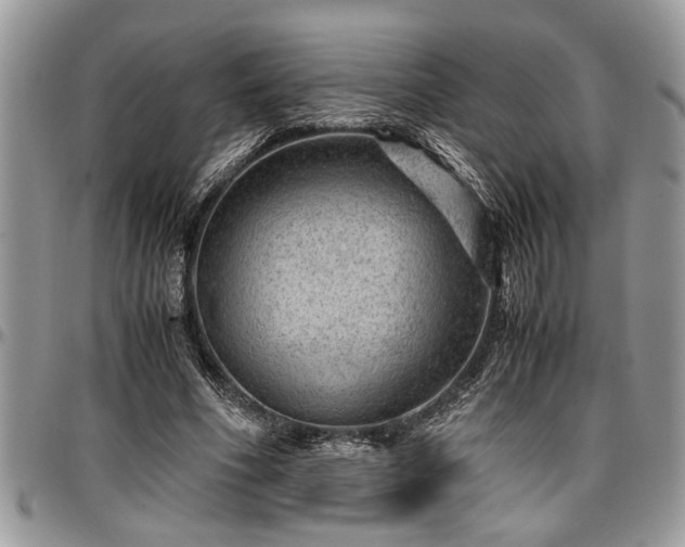 X0000096940586200802151217